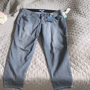 NWT WOMENS GRAY DEMOCRACY PANTS